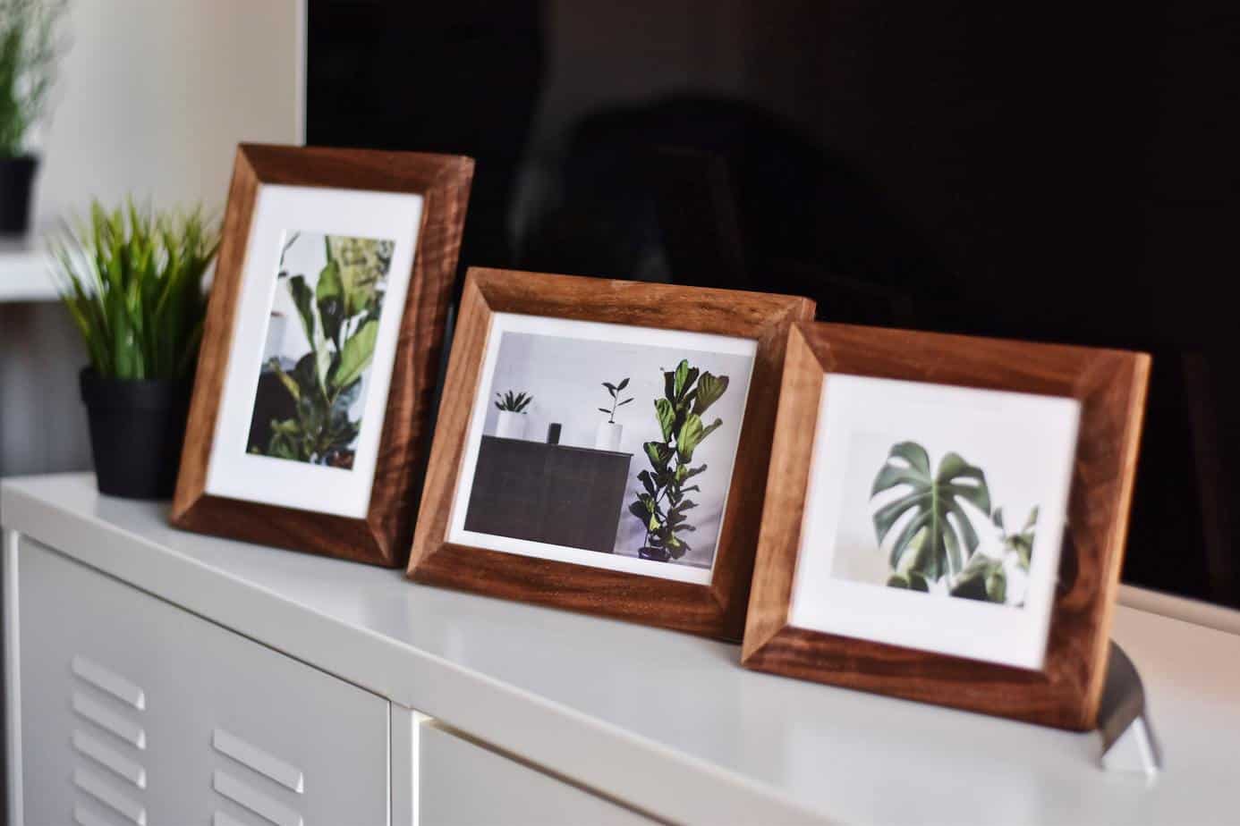 photo of three picture frames with pictures of plants.