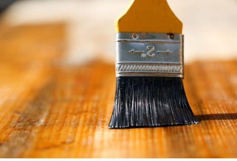 Can You Varnish Over Stain? Woodworker Lodge